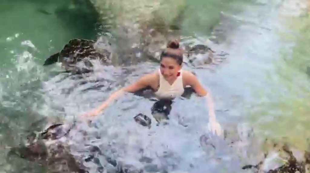 Video: Ayesha Omer Is Having Rousing Lunch Date With Turtles In Tanzania 