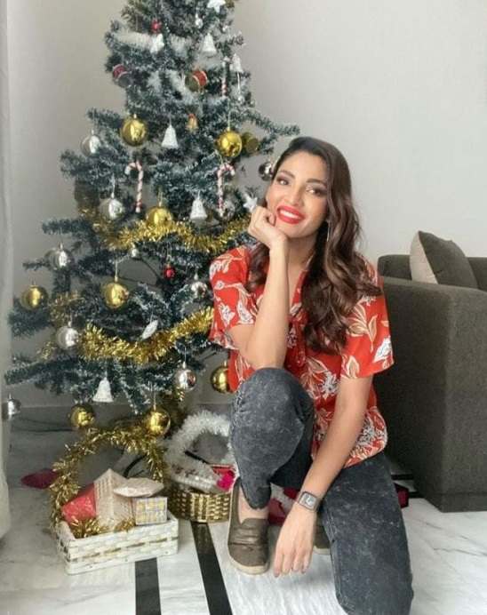 Mawra, Mahira Khan, Resham & others extend Christmas 2021 wishes, here's how they are celebrating
