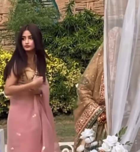 Watch: Saboor Aly, Ali Ansari are officially married!