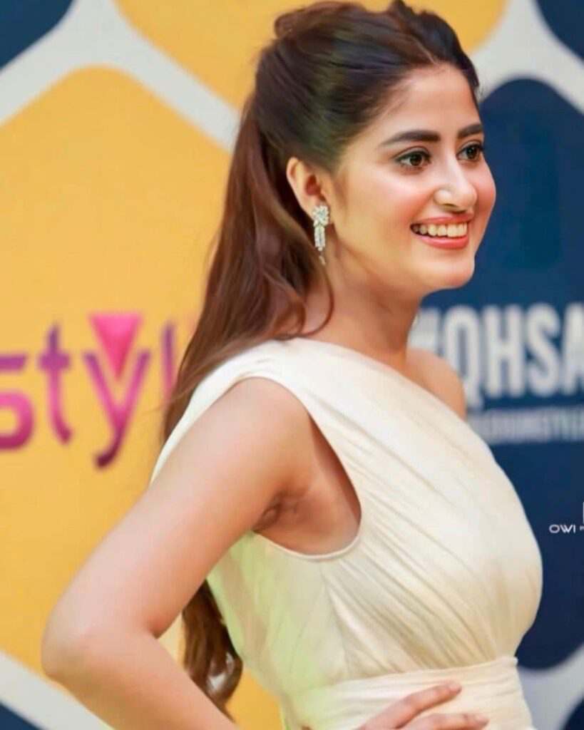 Sajal Aly Is Going To Be Seen On TV Screens With Talented Shehzad Roy After Her Divorce With Ahad Raza Mir