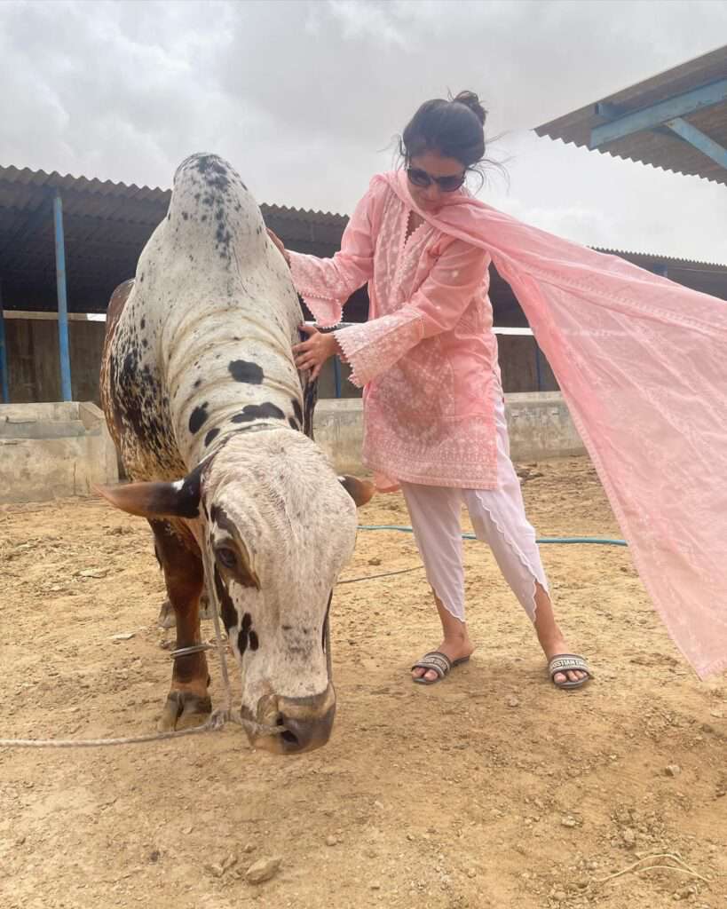 Areeba Habib bought an animal for Eid-Ul-Adha