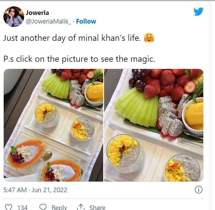 Minal Khan getting trolled for copying Kylie Jenner’s IG