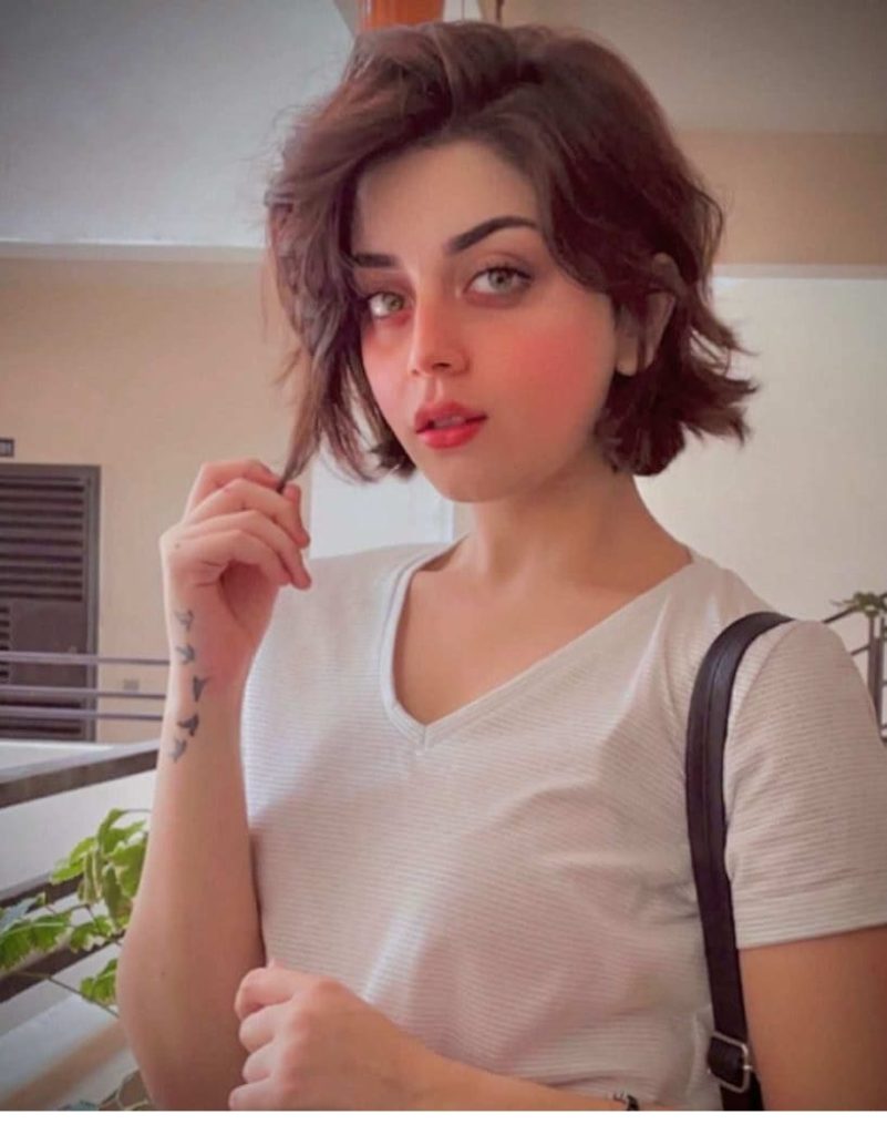 Alizeh Shah's latest pictures win social media