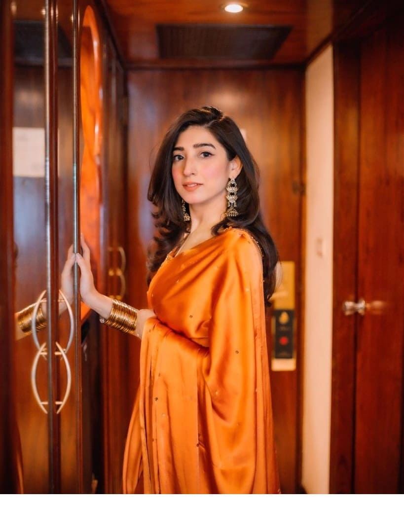 Mariyam Nafees Stunning Saree Pictures Take The Internet By Storm